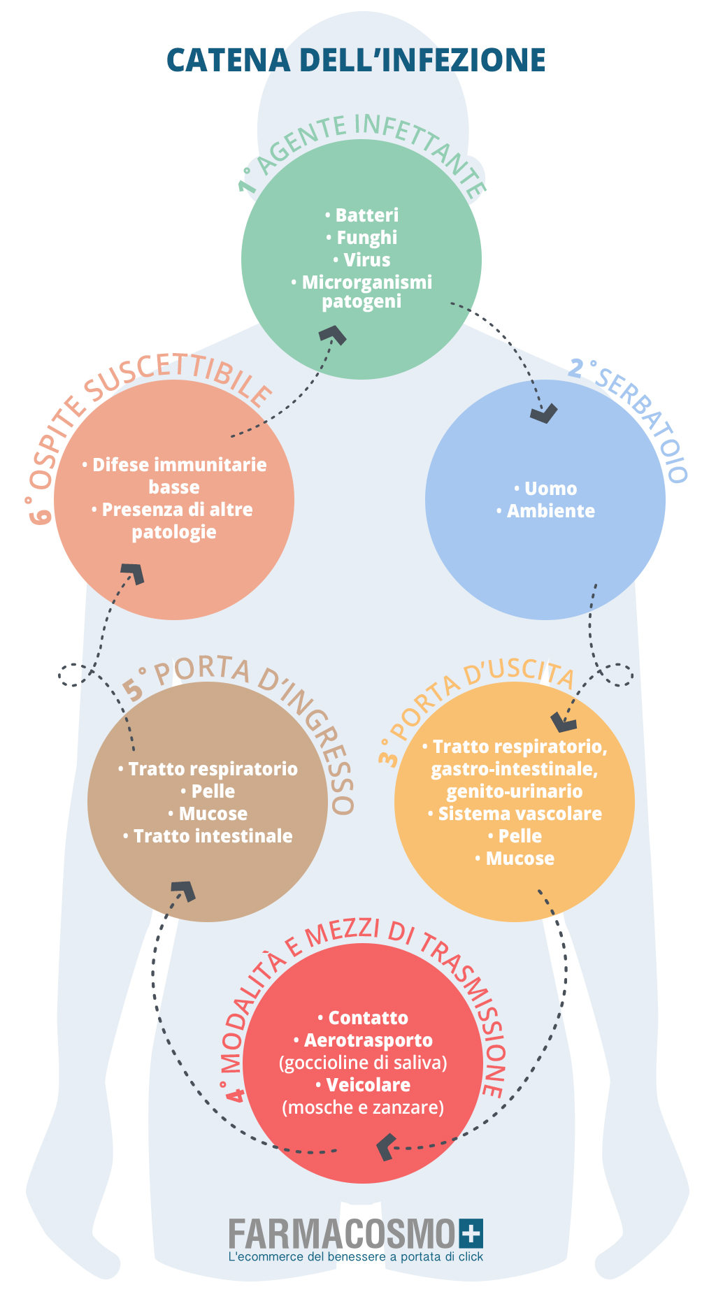 catena dell'infezione