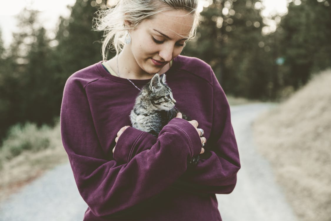 Alimentazione del gattino: cosa deve mangiare per crescere forte e sano?