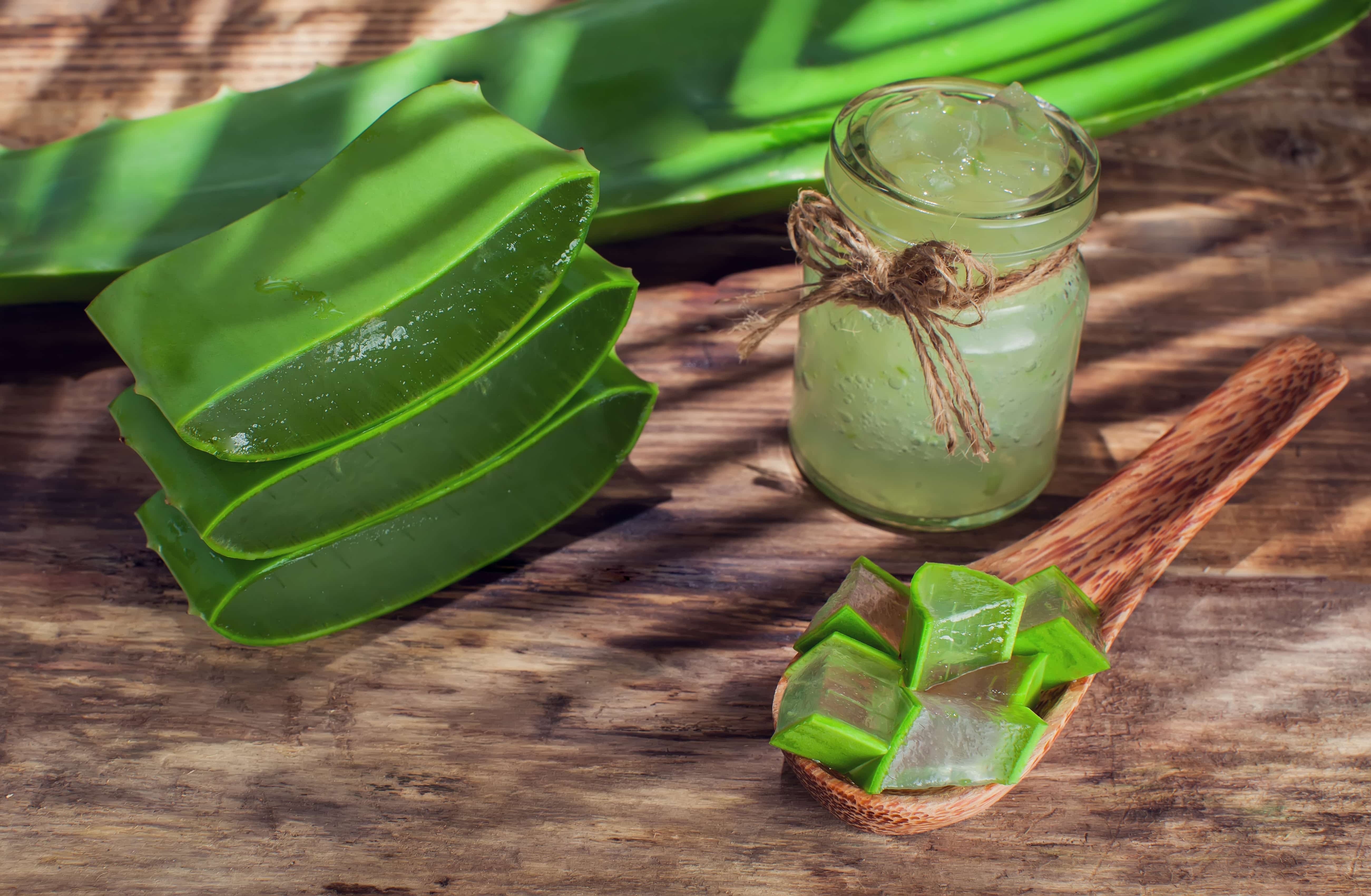 Aloe Vera: il rimedio contro scottature ed eritemi solari